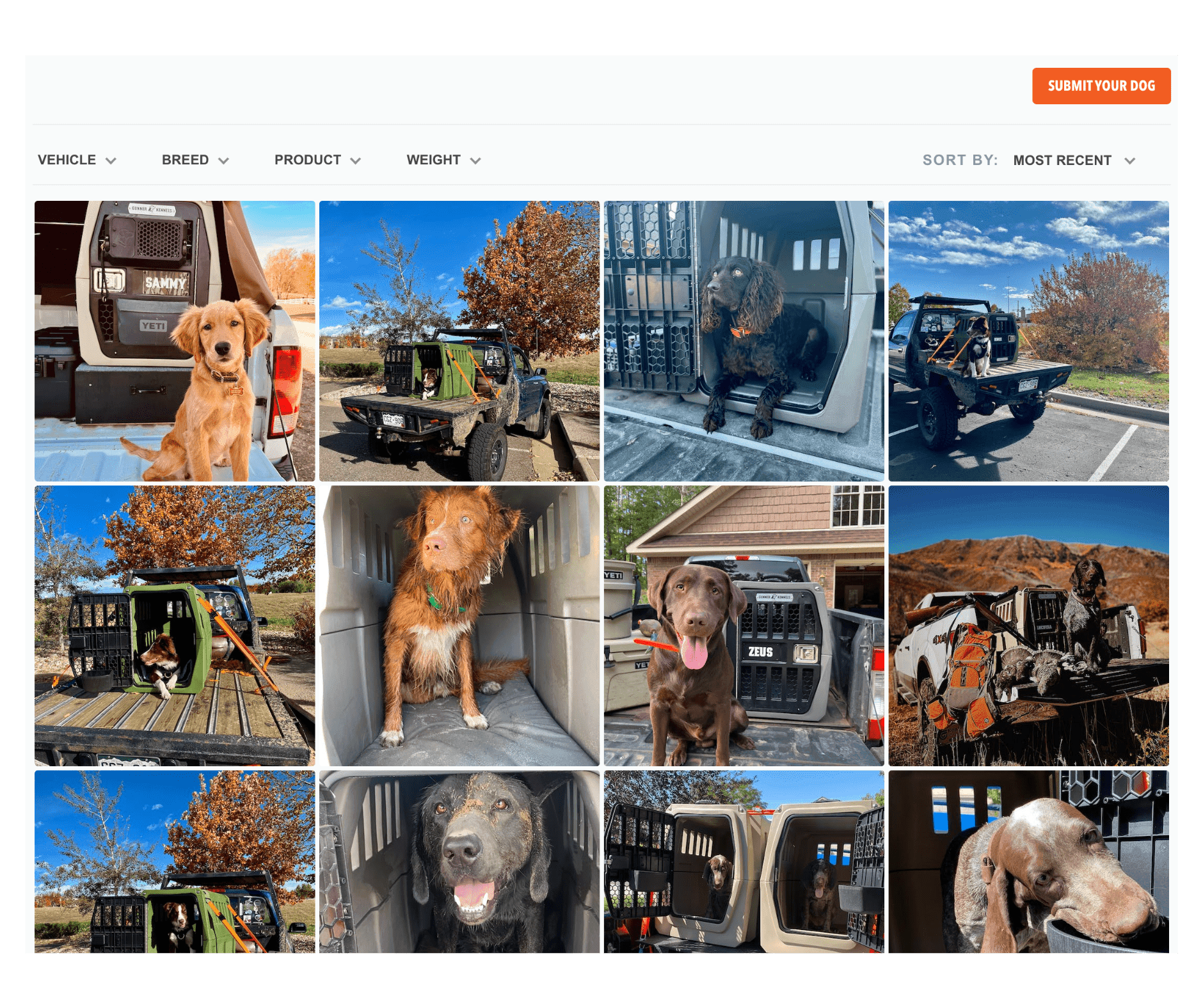 Gunner Kennels UGC photo gallery