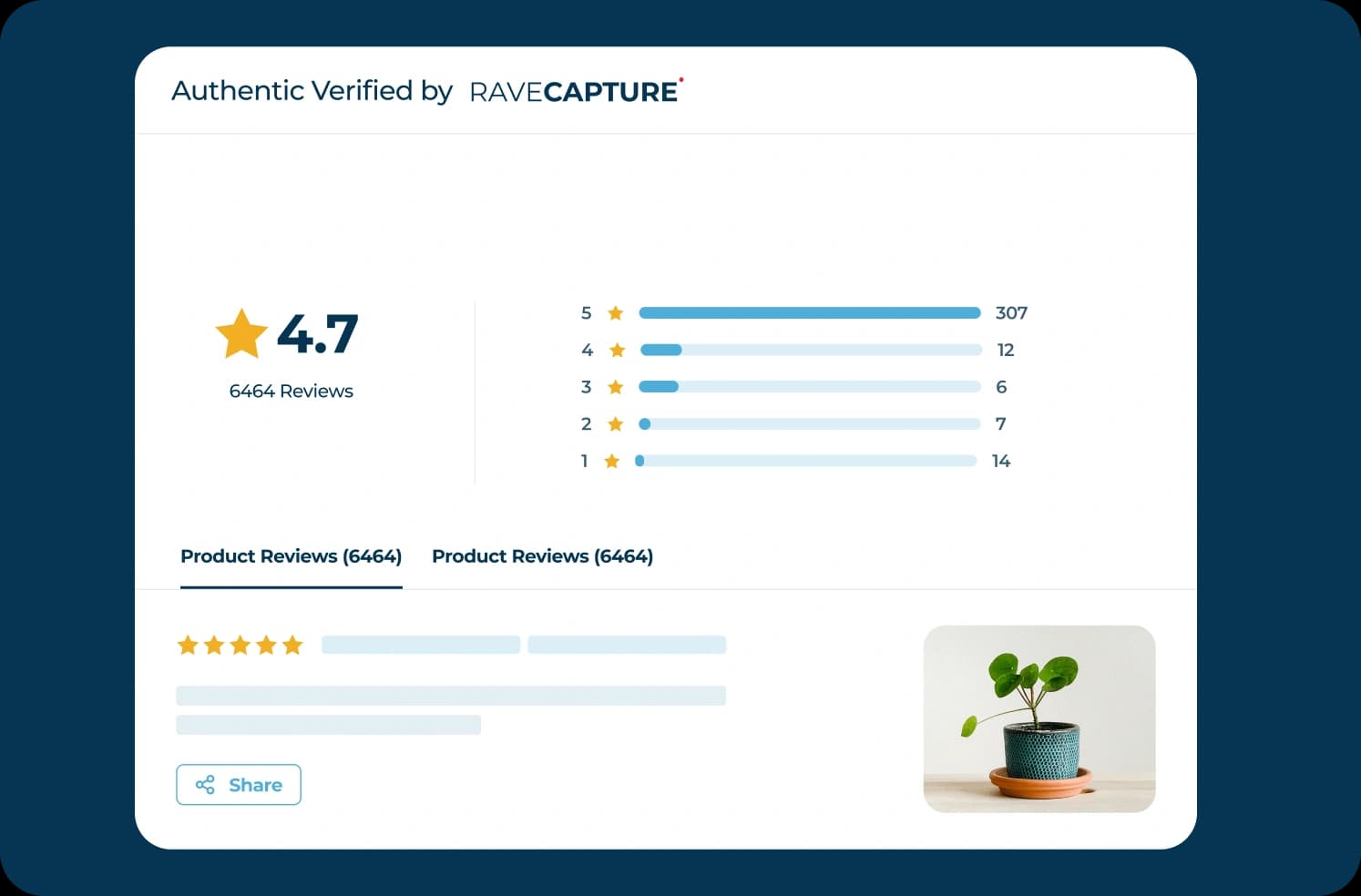 Product Review Widget preview showing star ratings and customer reviews