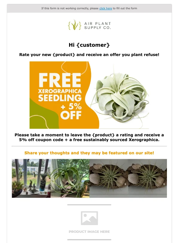 Air Plant Supply review request email example