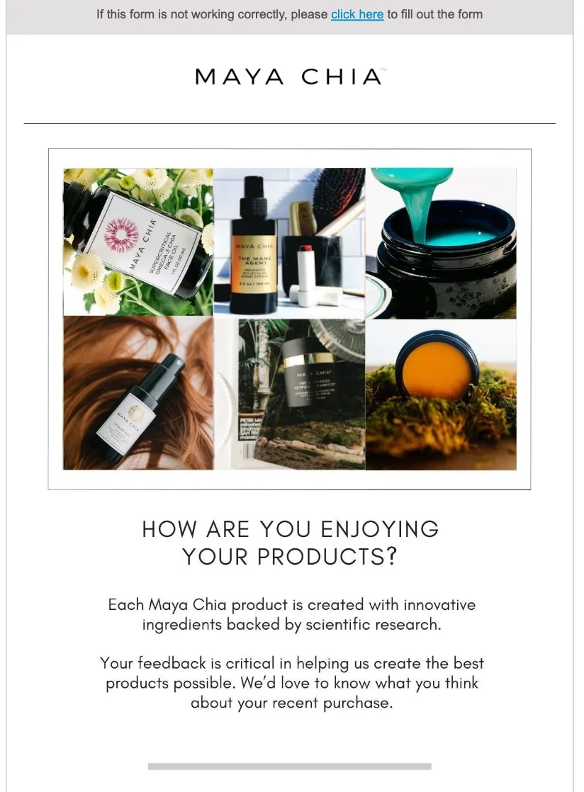 Maya Chia review request email example