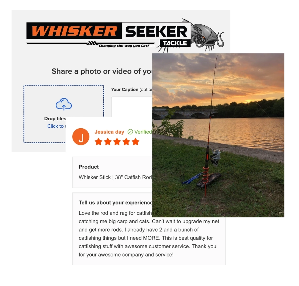 Whisker Seeker video review