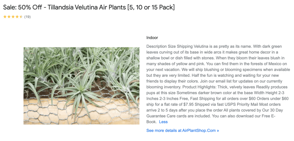 air plant shop product on google shopping