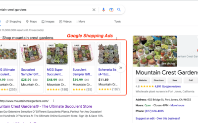 The Ultimate Guide to Setting Up a Google Shopping Feed for Ecommerce