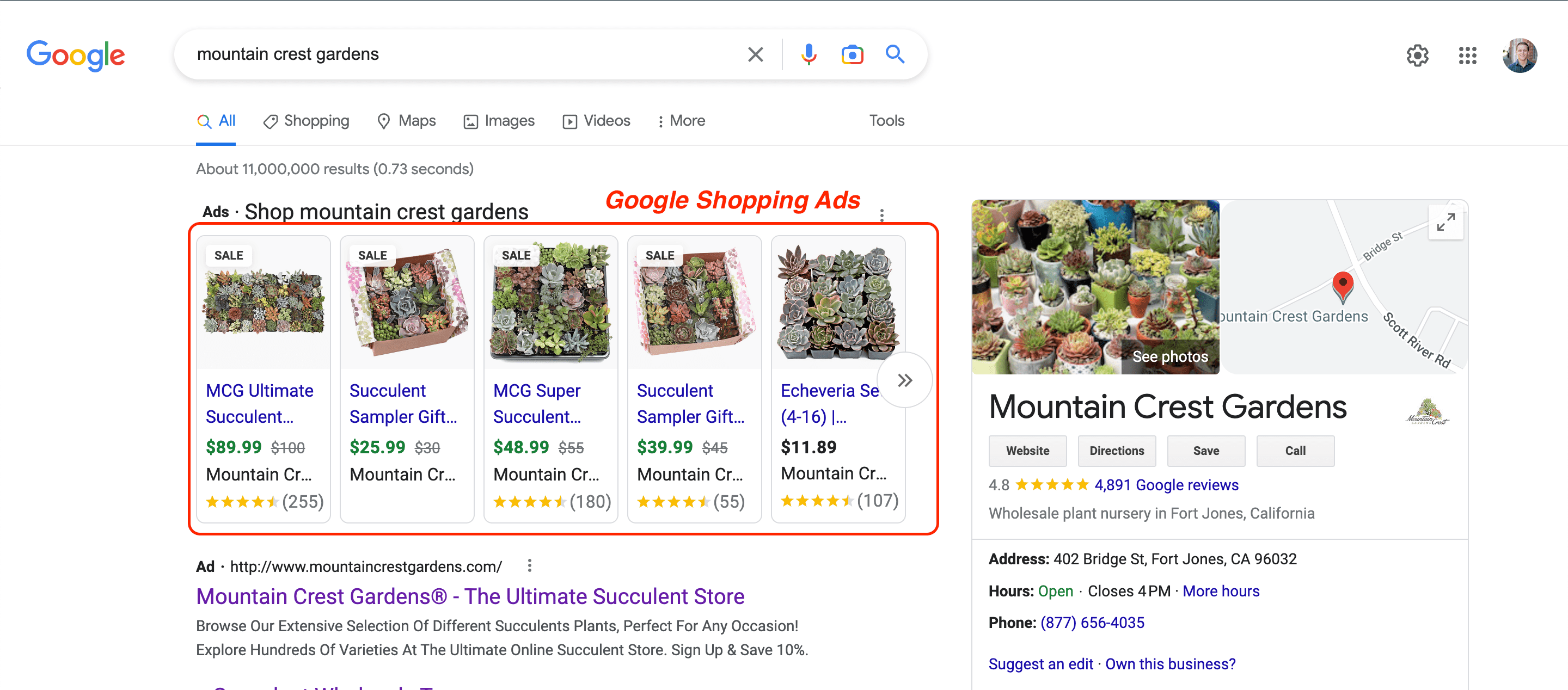 Guide to Google Shopping Feed