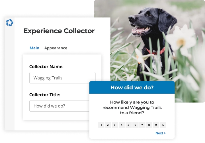 Experience collector NPS survey