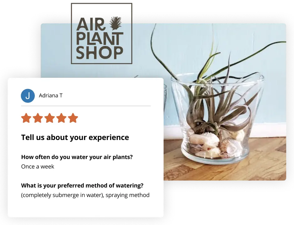 airplant review