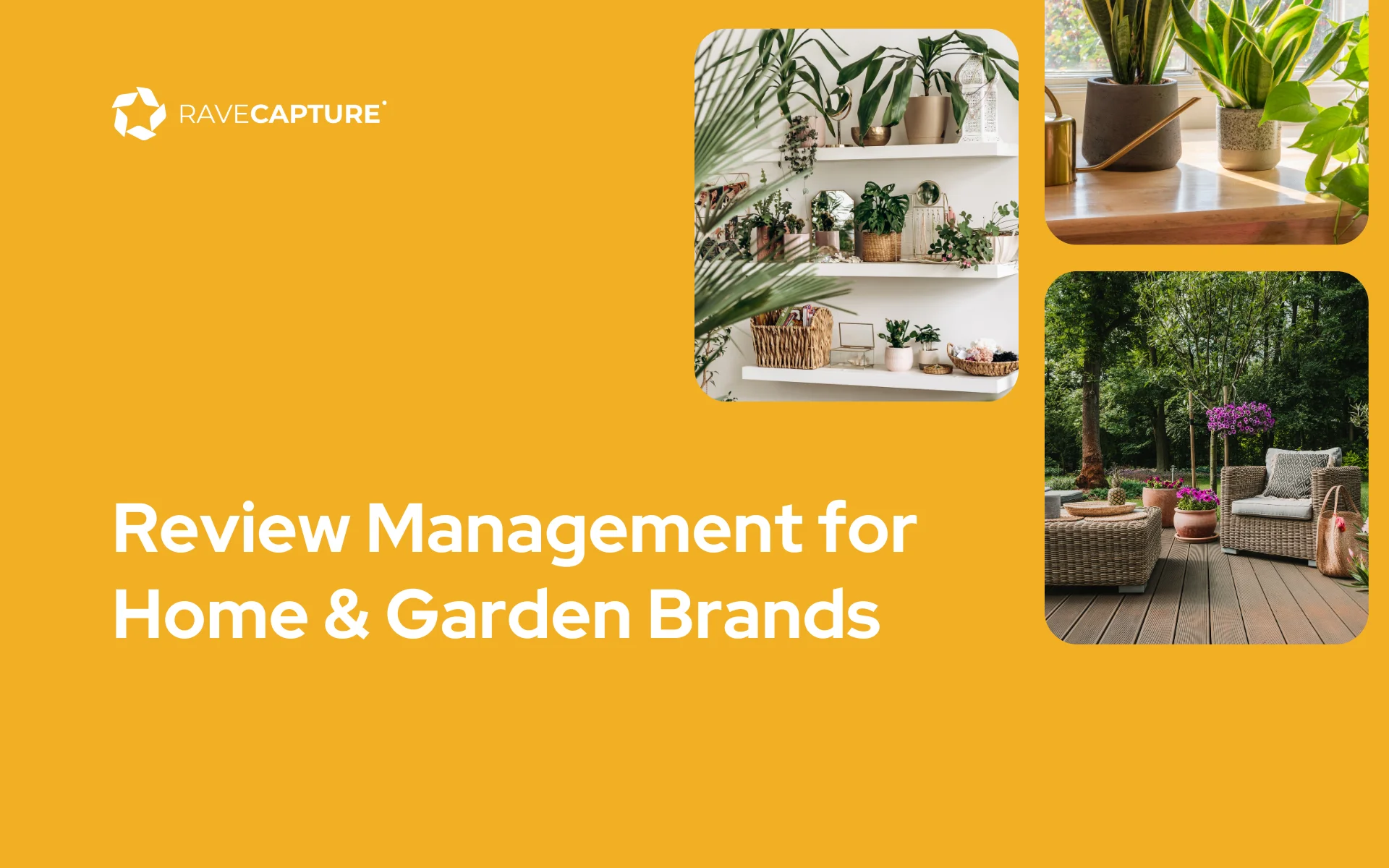 Review Management for Home and Garden Brands