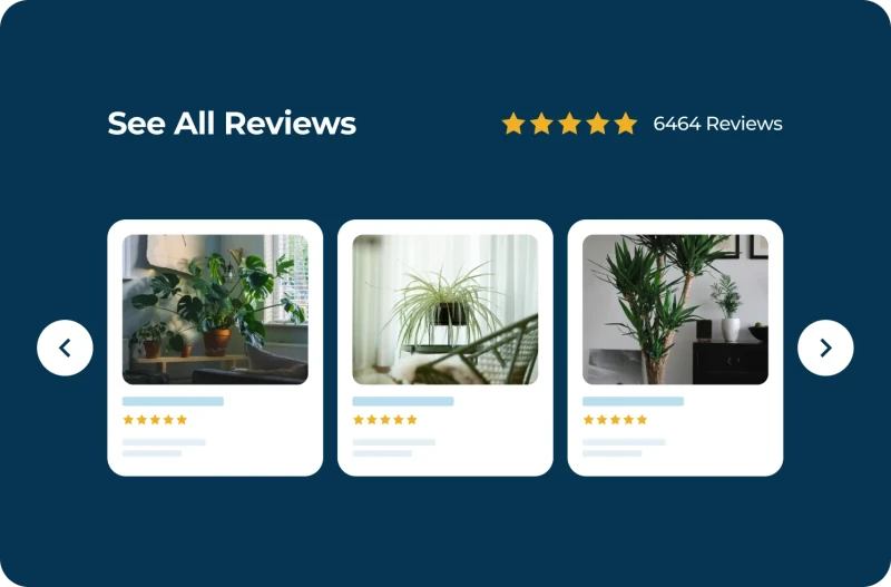 Product review carousel widget showing top customer reviews in scrollable format