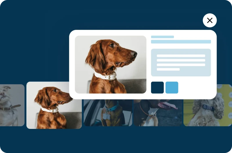 Visual carousel widget displaying customer photos and user-generated content